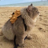 其路之中并无死亡