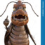 Roach