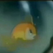 ماهی نژاد پرست