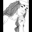 ♥ Marilin ♥
