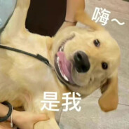 Fzwww