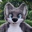 Neo T. Wolf
