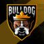 Buldog_01