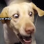 Arelelele's avatar
