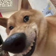 国产翻到丈母娘