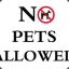 No Pets allowed