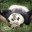 Panda Eat U's avatar