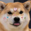 bo1d1y