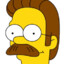 NED FLANDERS