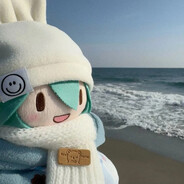 两块一斤的狸花