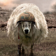 青青草原懒大王