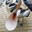 Pelican