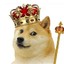 King Doge