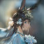 两面包夹芝士