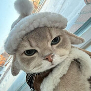 纯情小猫咪在线洗碗