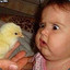 Ayam