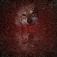 羊羊Surprised Emergency stop