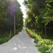 我与春风皆过客