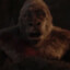 rambunctious ape
