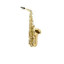 Saxophone