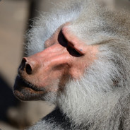 你是完全打不到人吗