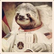 Commander Sloth
