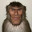 Ass Monkey