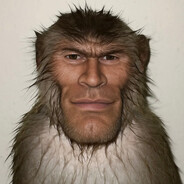 Ass Monkey