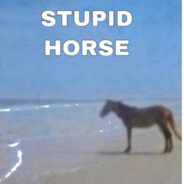 Stupid Horse