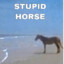 Stupid Horse