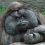 Siweka