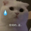 食人花