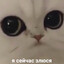 Utepix's avatar