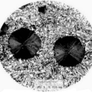 以太里面银龙鱼