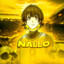 NaLLo2