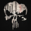 the punisher