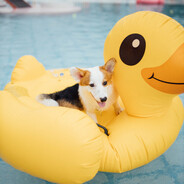 站在阳光下坦荡