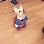 不是黑屋也想玩