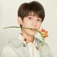 TFBOYS突破手王源