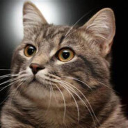 让我切菜！！！