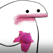 是不是每天依旧