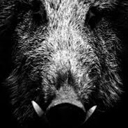 BOROV - steam id 76561199052311752