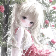 青春猪头少女不会遇到兔男郎学长