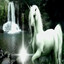 White Poneyy