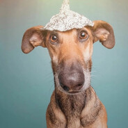 архангел илюха