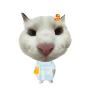 我刘立楷爱赤石