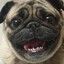 mops spilled your blood