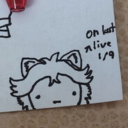 The Cat