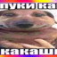пуки каки какашки