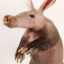 Barmy_Aardvark